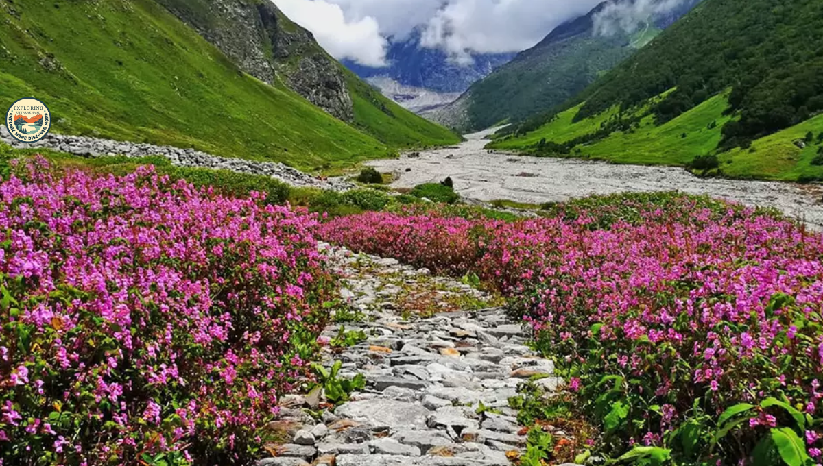 Uttarakhand in September