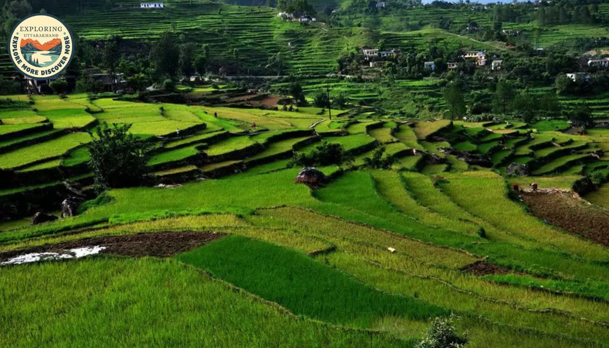 Uttarakhand in September
